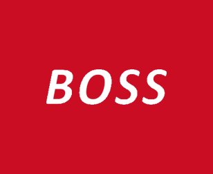 باس - BOSS